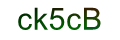 mã xác nhận