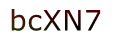 mã xác nhận