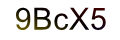 mã xác nhận