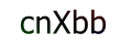 mã xác nhận